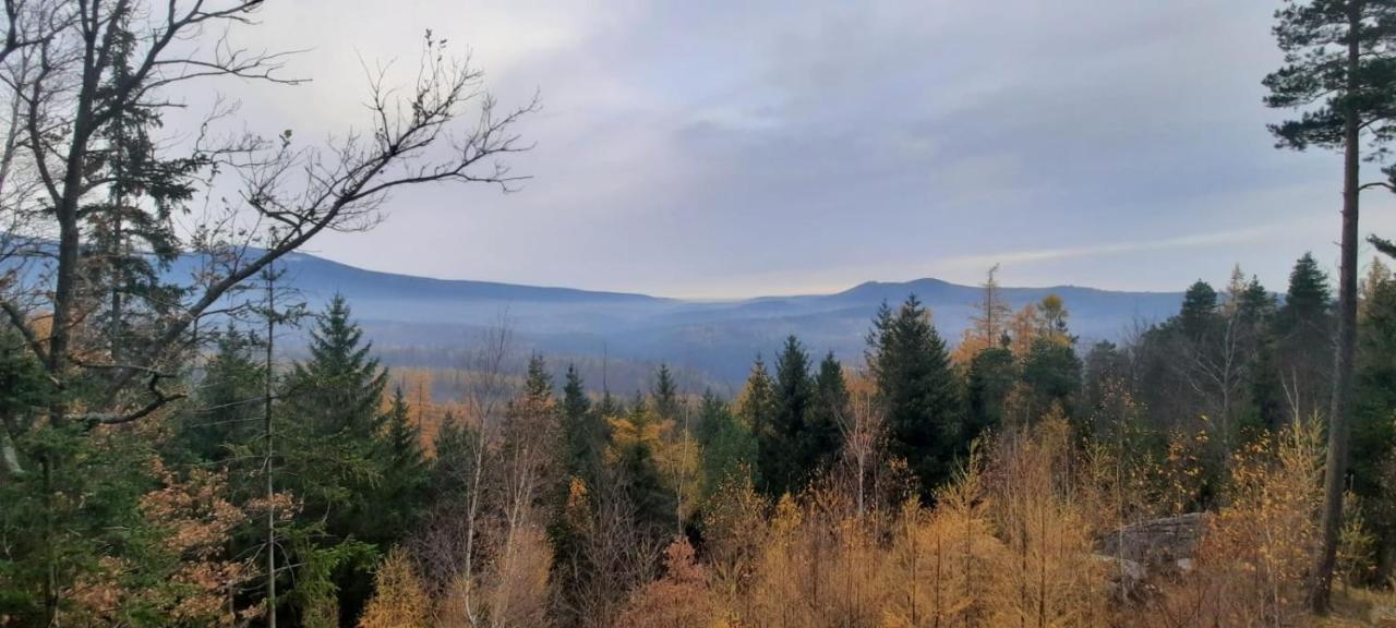 Jodla I Modrzew Apartment Jelenia Gora Bagian luar foto